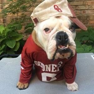 Meet your Posher, Peggy